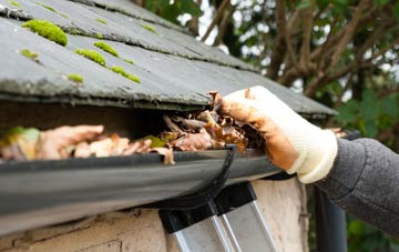 gutter cleaning Coldharbour