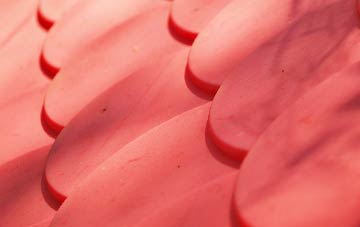 Coldharbour plastic roof costs